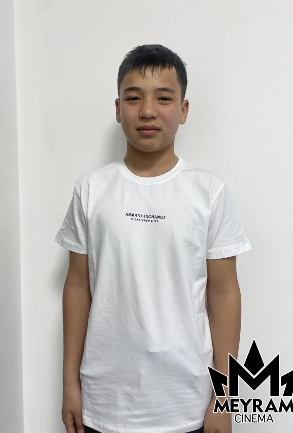 Темір Көмек