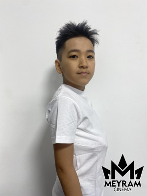 Бердаулет Несіпжан