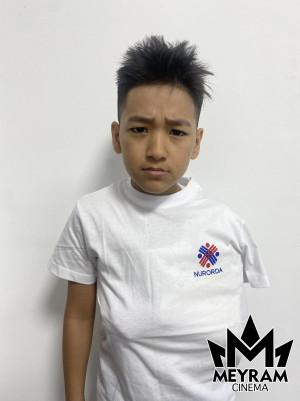 Бердаулет Несіпжан