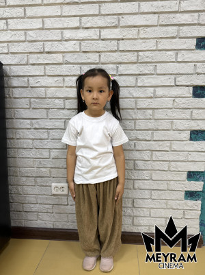 Әмина Мерген