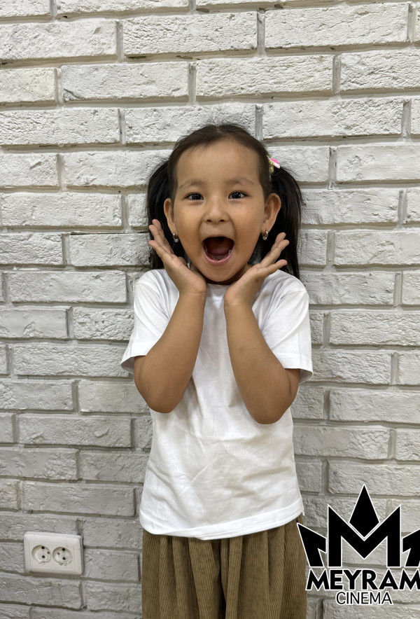 Әмина Мерген