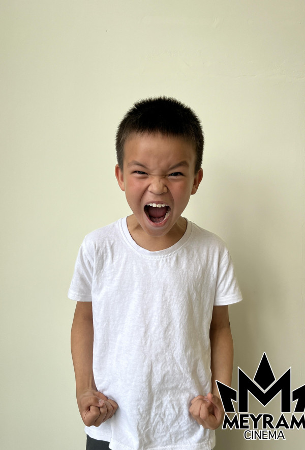 Жеңіс Балтабек