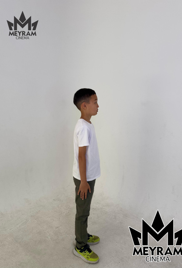 Айсұлтан Ноғай