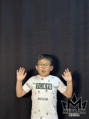 Әли Мейрамбек