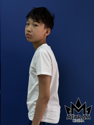 Арыстан Усин