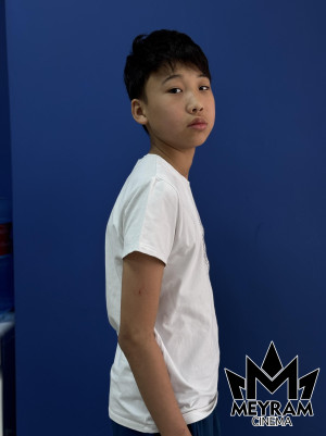 Арыстан Усин