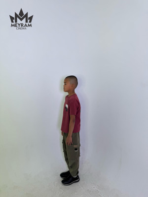 Алпамыс Қырықбай