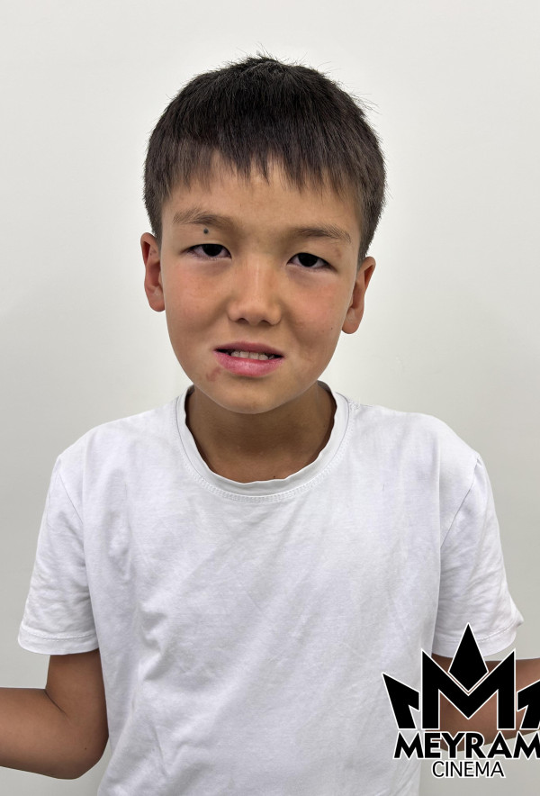 Ғазиз Ұланұлы