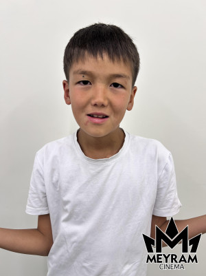 Ғазиз Ұланұлы