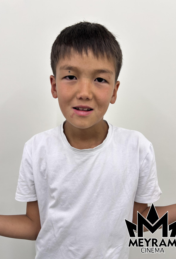 Ғазиз Ұланұлы