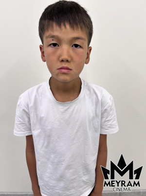 Ғазиз Ұланұлы