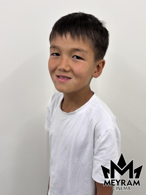 Ғазиз Ұланұлы