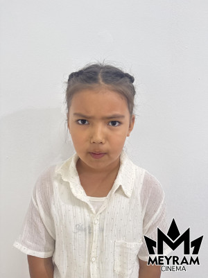 Айша Дүйсенәлі