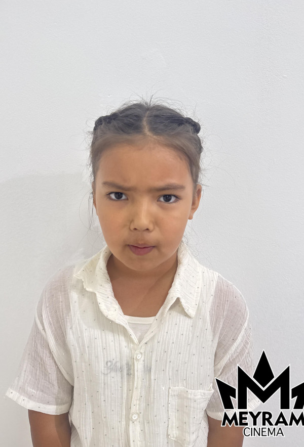 Айша Дүйсенәлі