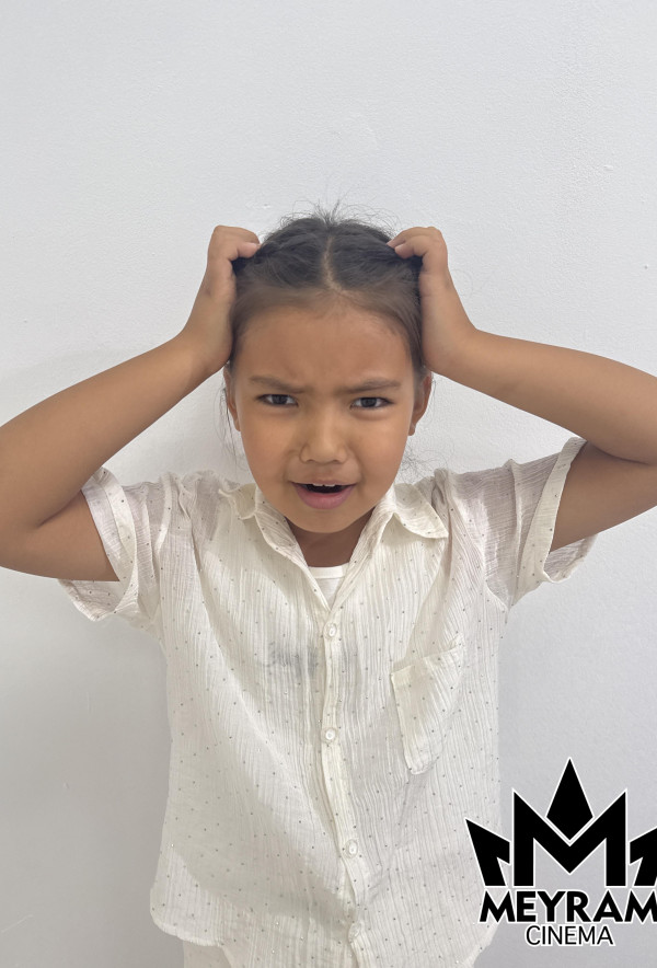 Айша Дүйсенәлі