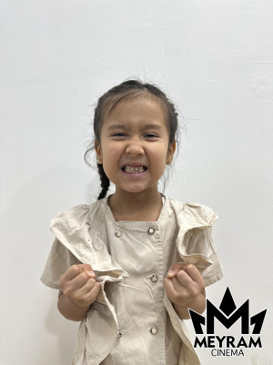 Сулейман Сафия