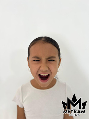 Айзере Сейсенбайқызы