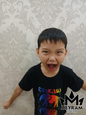 Ержүрек Сабиткан